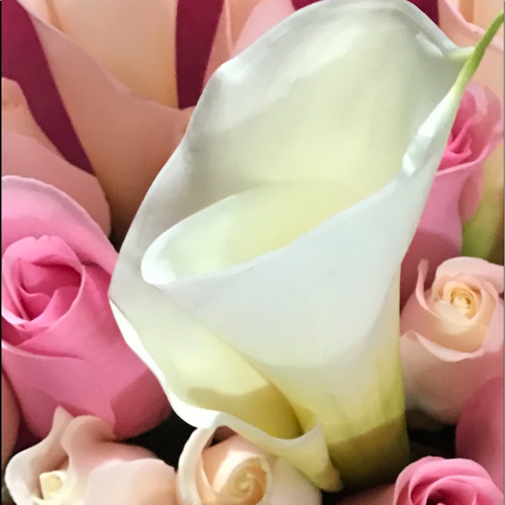 Meet your Posher, Jennifer